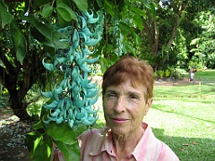 086 Cairns Botanic Gardens